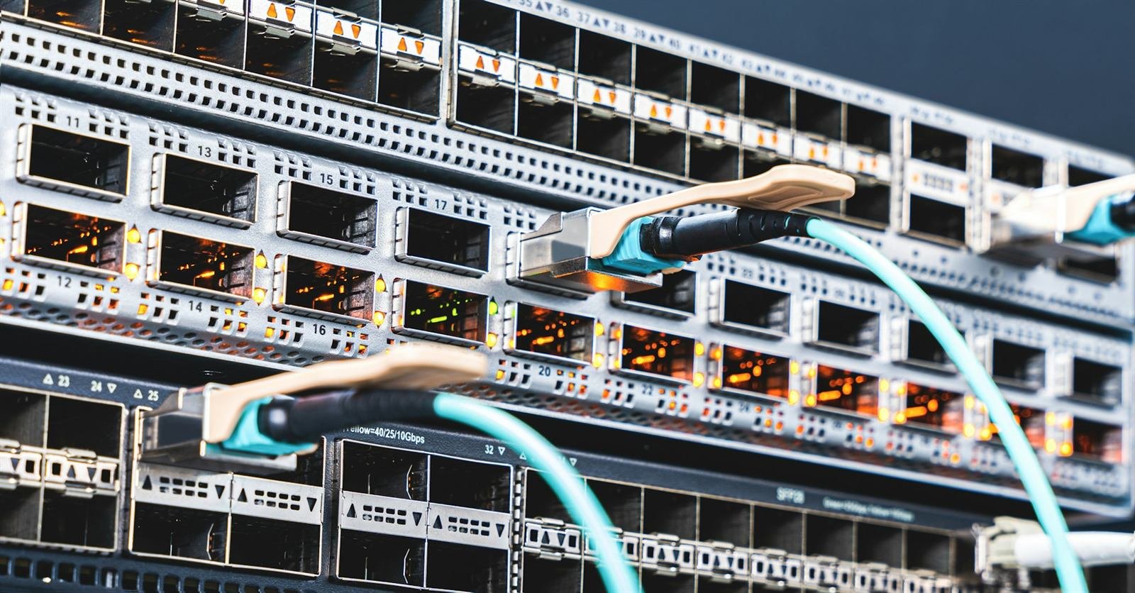 Fibre optic patch leads connected to a network switch